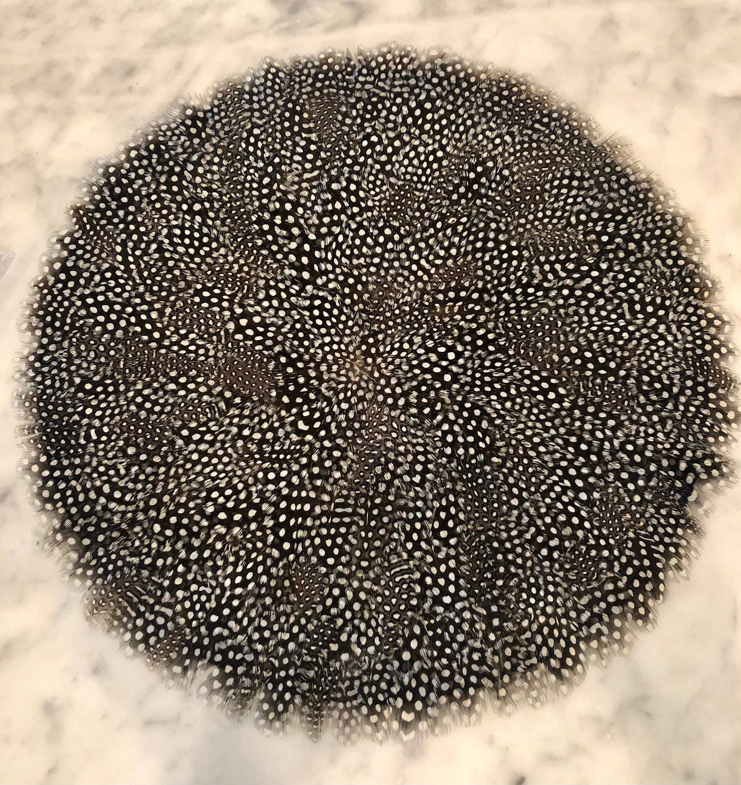Placemat - Guinea Feather