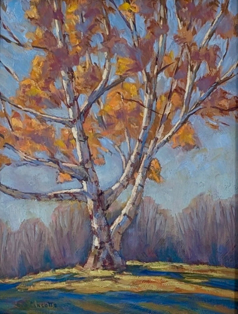 Birches