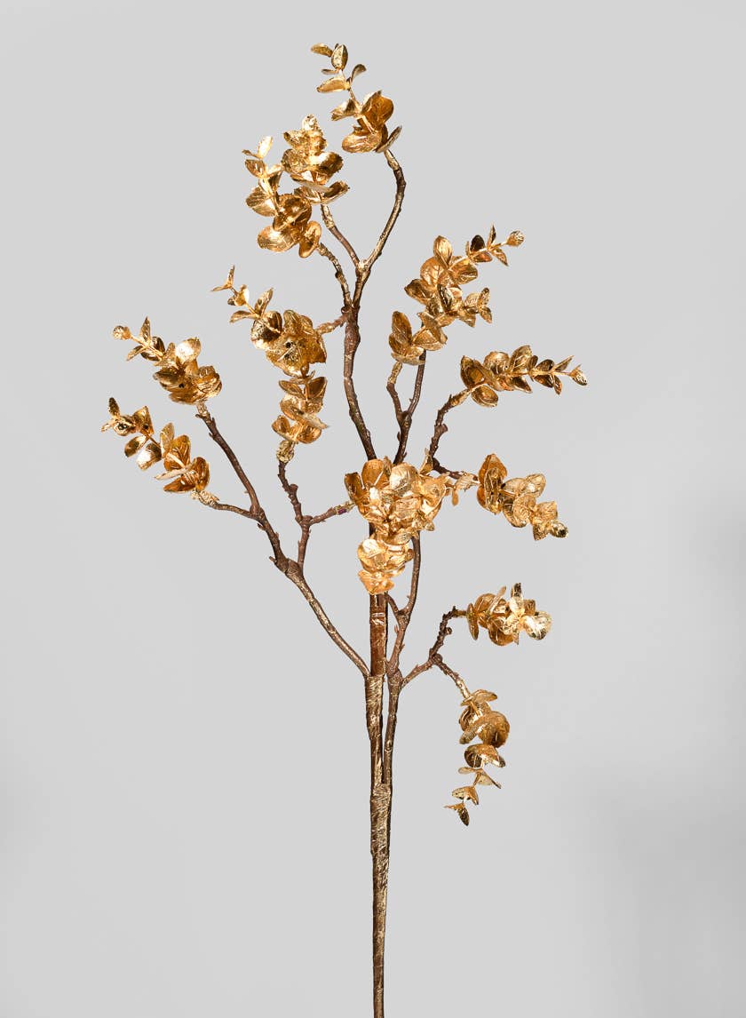 Gold Eucalyptus Branch / Stem
