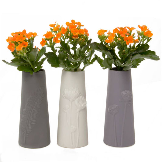 Olmsted Ceramic Flower Vase