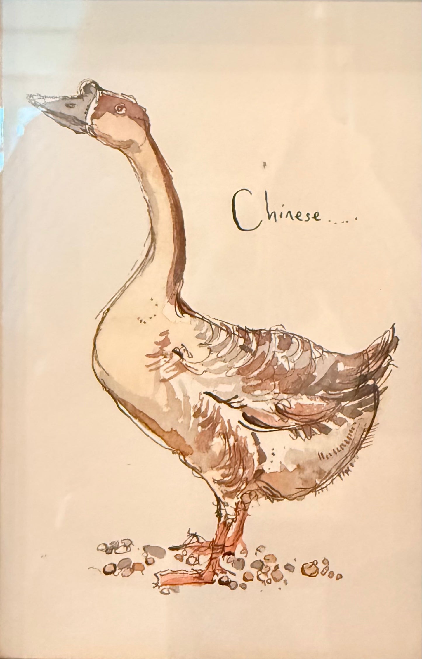 Vintage Goose Print