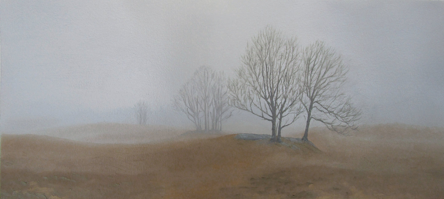 Hayfield in the Mist