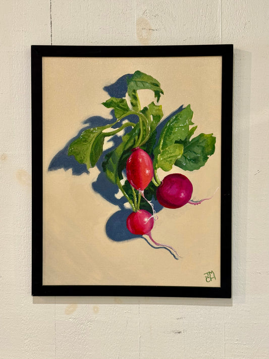Still Life Collection - Radishes