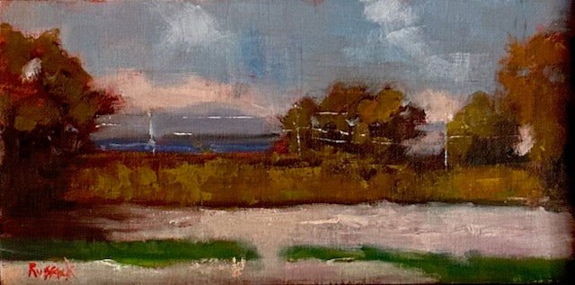 Pine Street Barge Canal