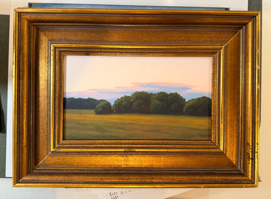 Evening Field