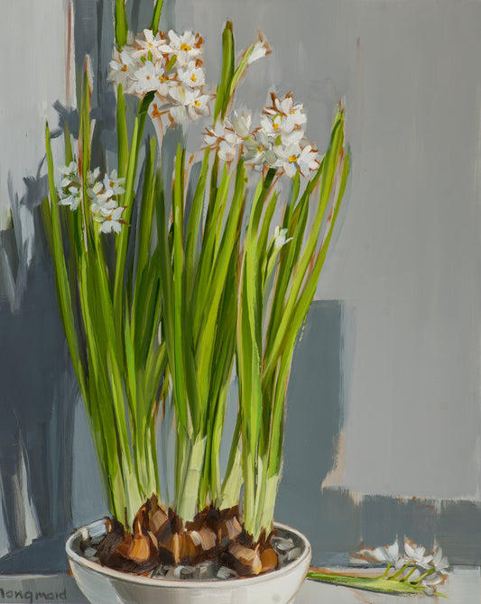 Paperwhites