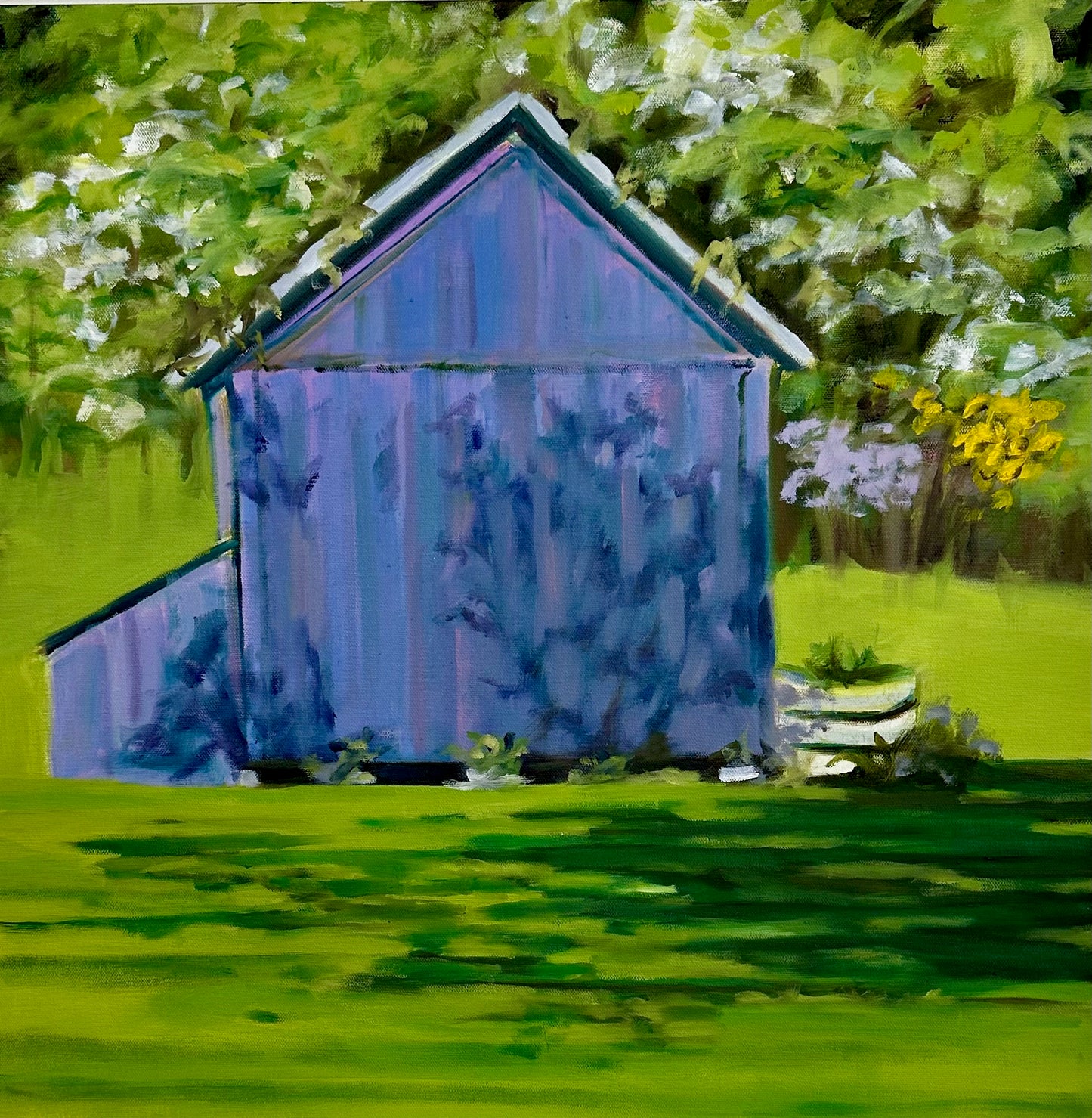 Purple Shed