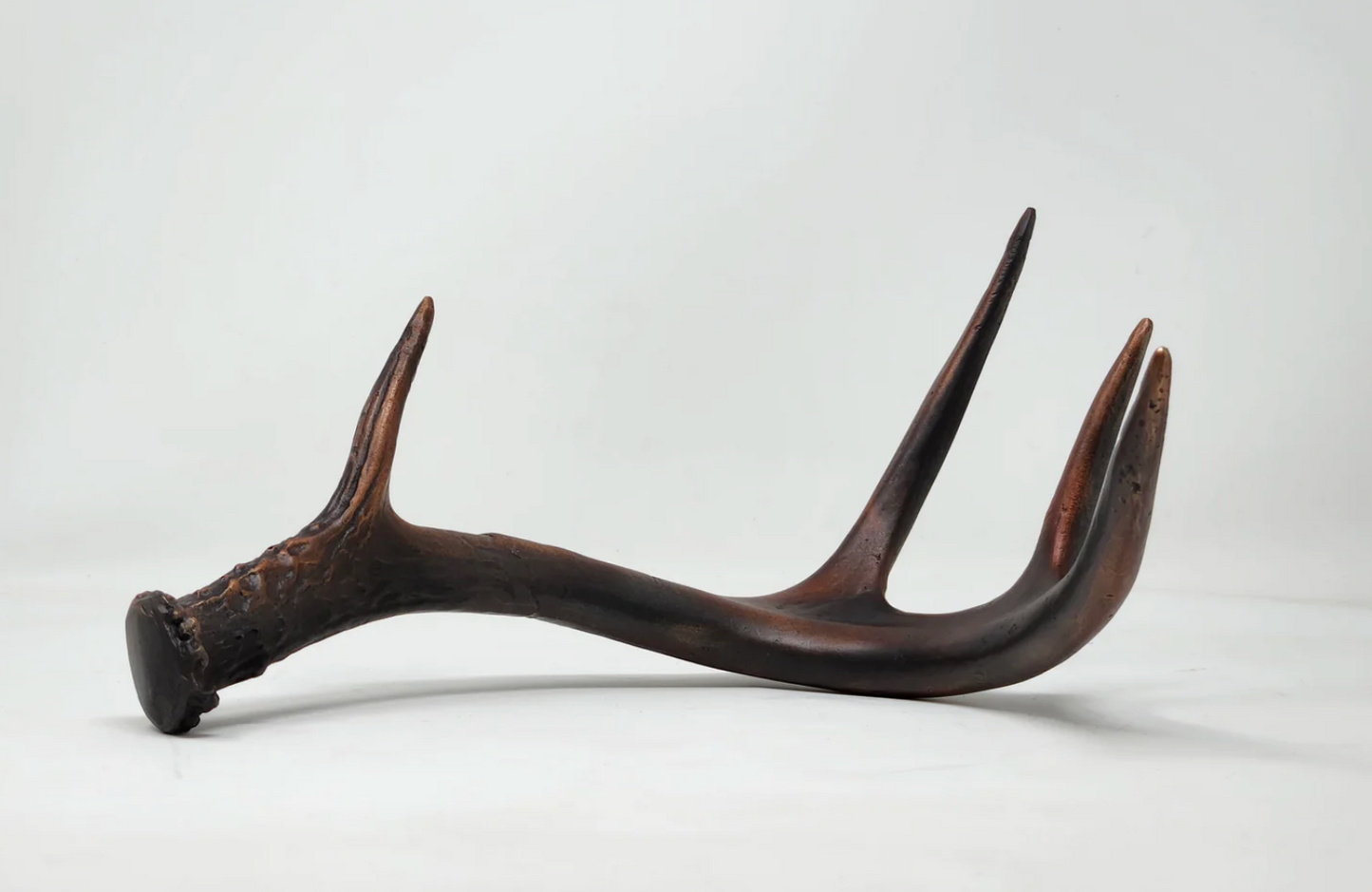 Hand-cast Bronze White-Tailed Deer Antler