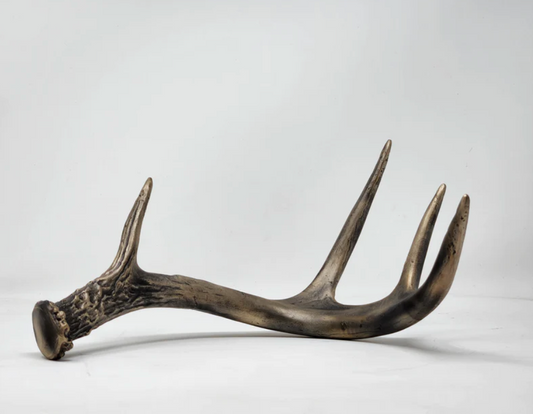 Hand-cast Bronze White-Tailed Deer Antler