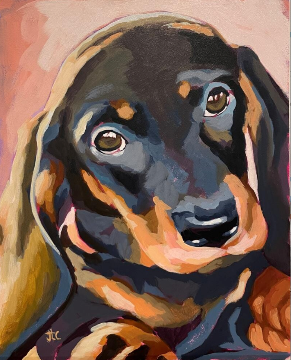Mr. Dachshund