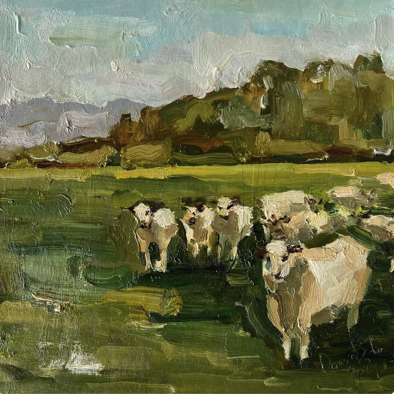 Sheep in Field
