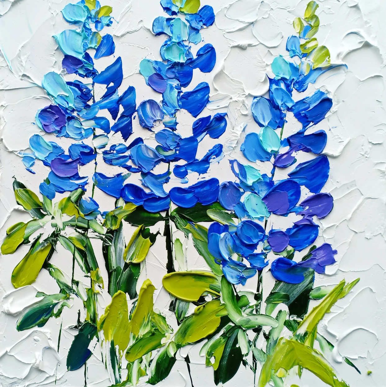 Bluebonnet