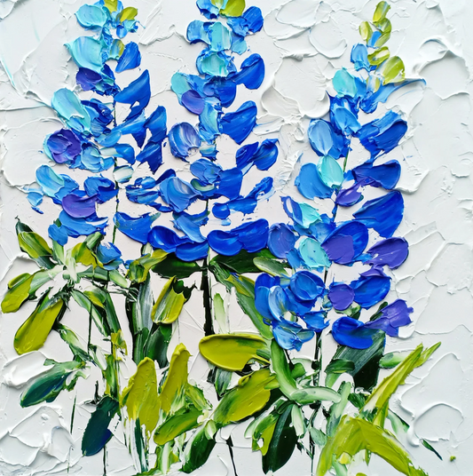 Bluebonnet