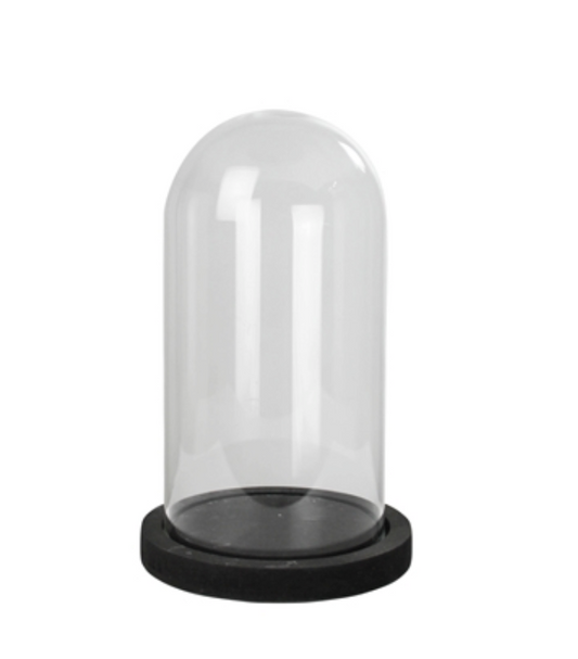 Glass Cloche