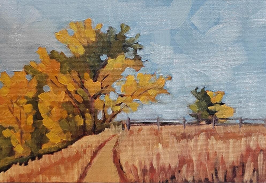 Autumn Changes