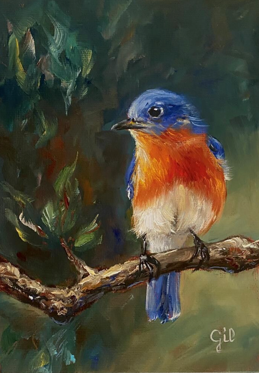 Bluebird