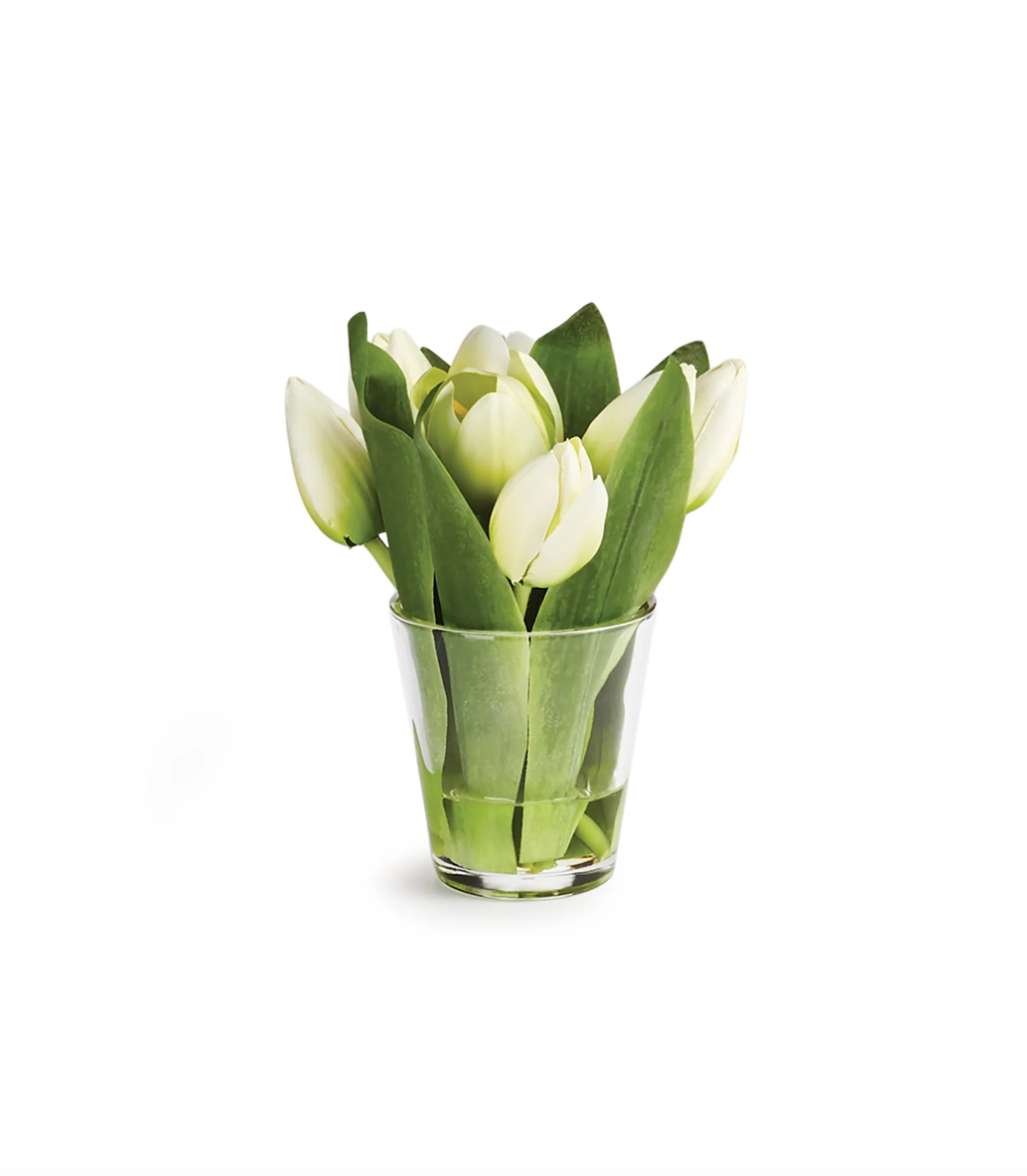 Dutch Tulips in Vase