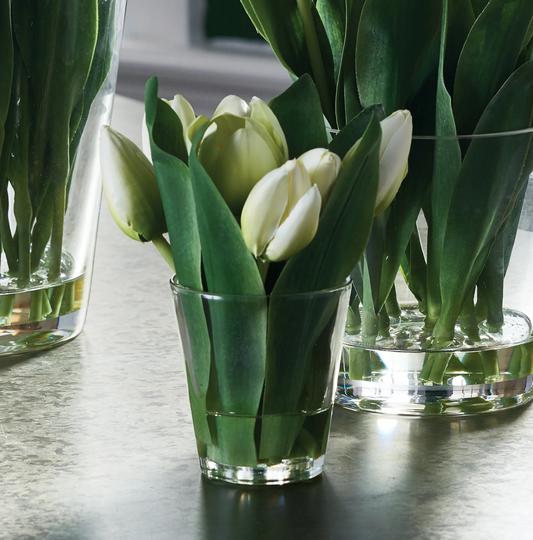 Dutch Tulips in Vase