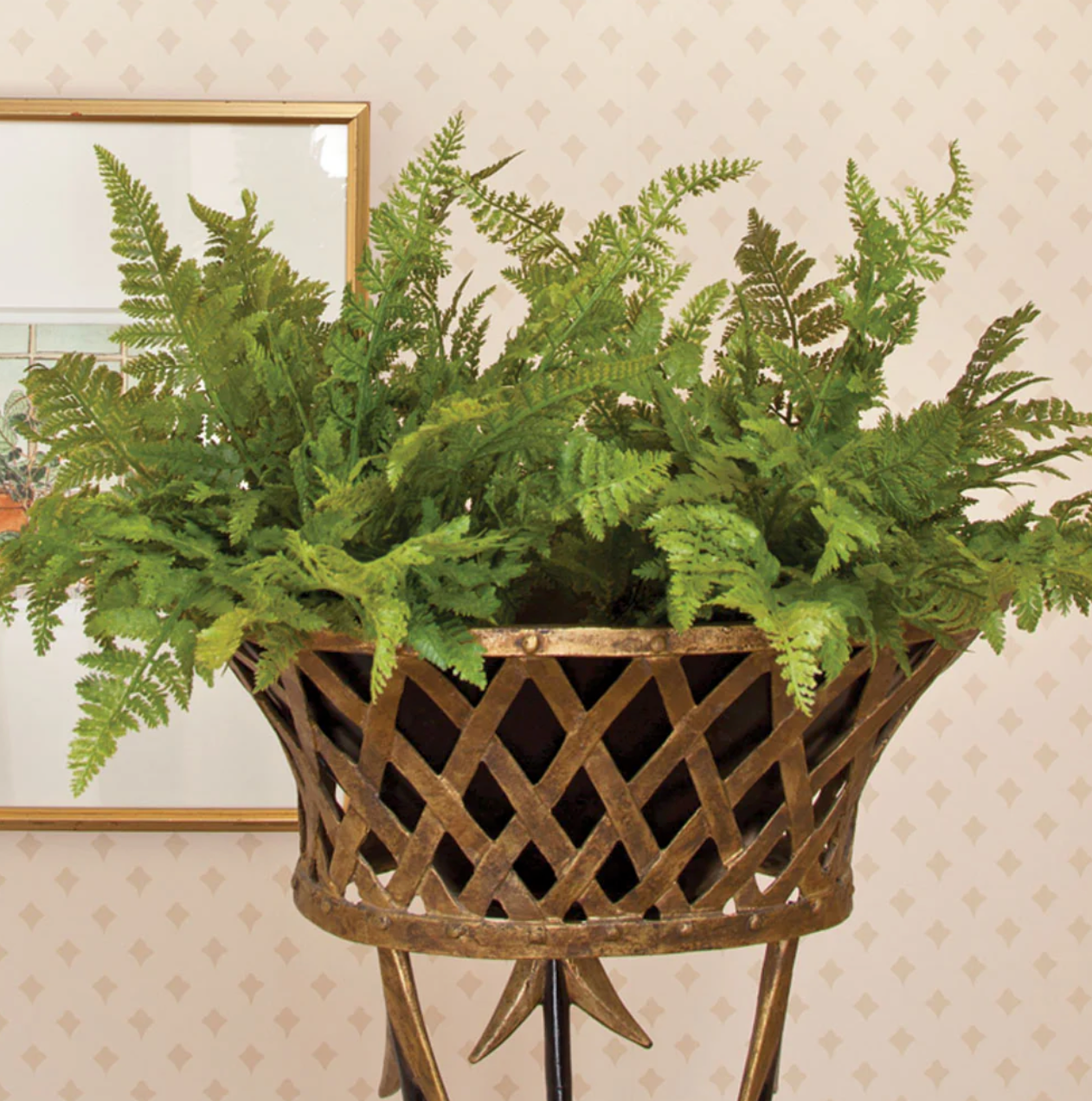 Soft Fern Drop-in