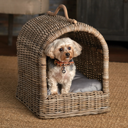 Canopy Pet Bed