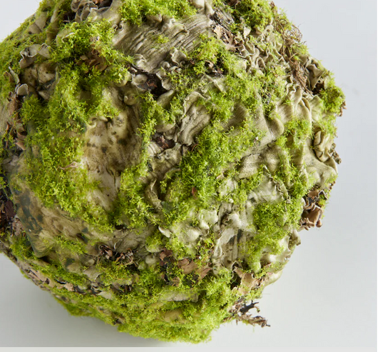 Mossy Lichen Balls