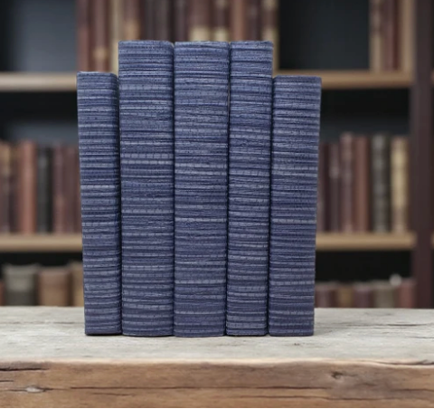 Sisal Blue Decorative Books - Set of 3