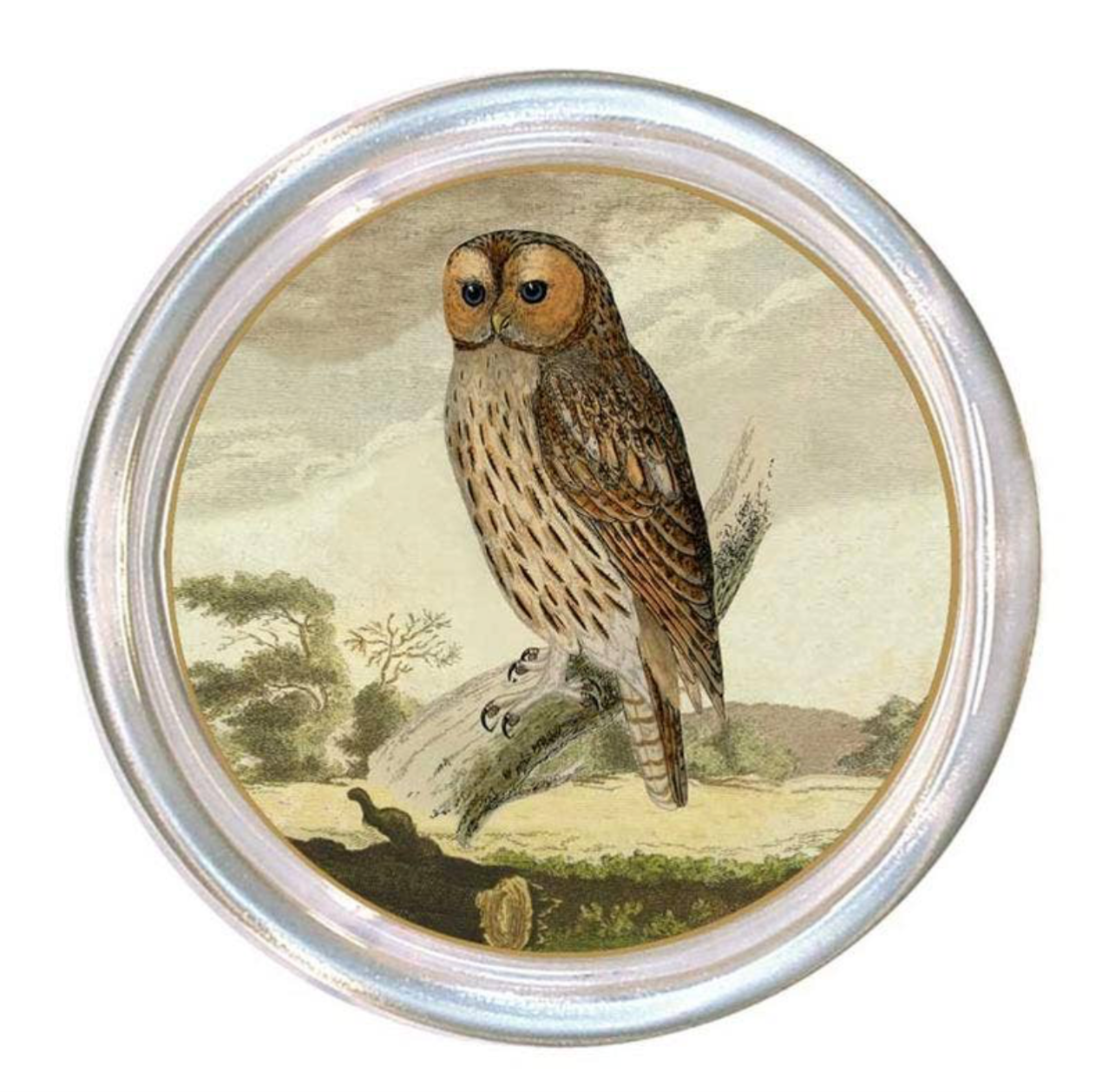 Glass Coasters
