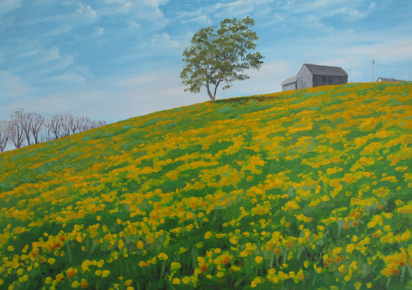 Spring Hill