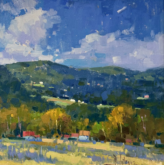 Sunlit Meadow