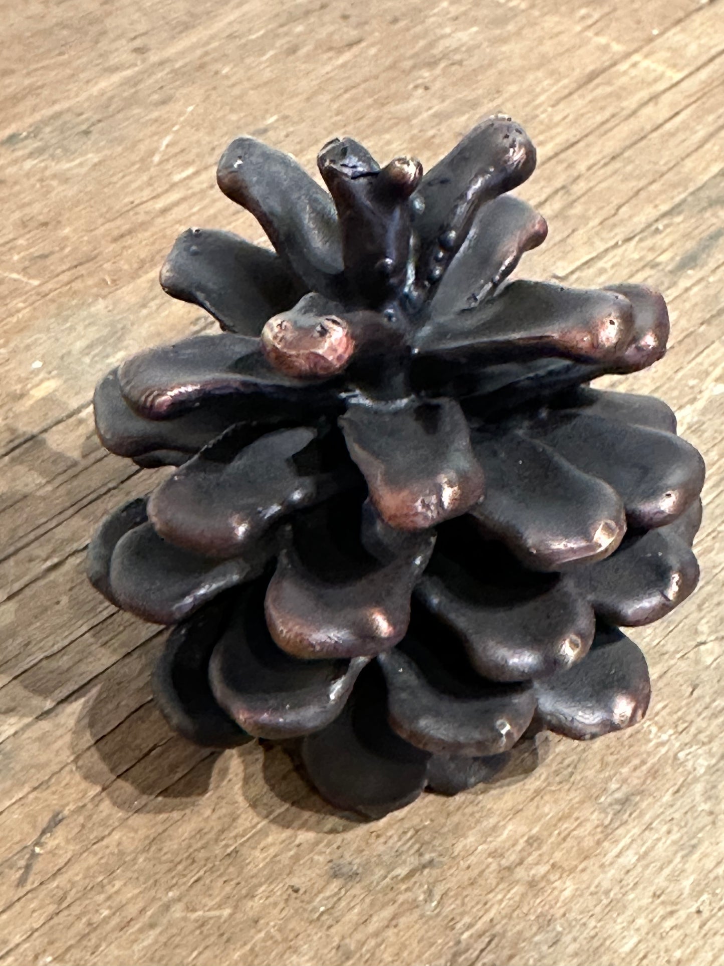 Handcast Bronze Ponderosa Pinecones