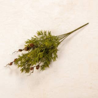 Evergreen Pinecone Stems