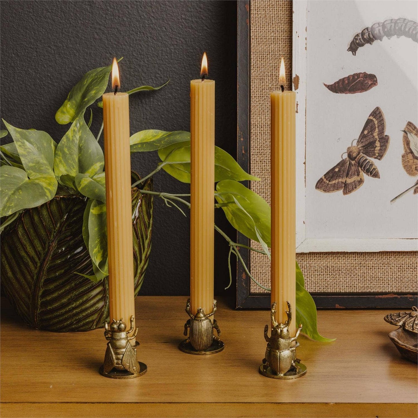 Candle Holders - Golden Bugs