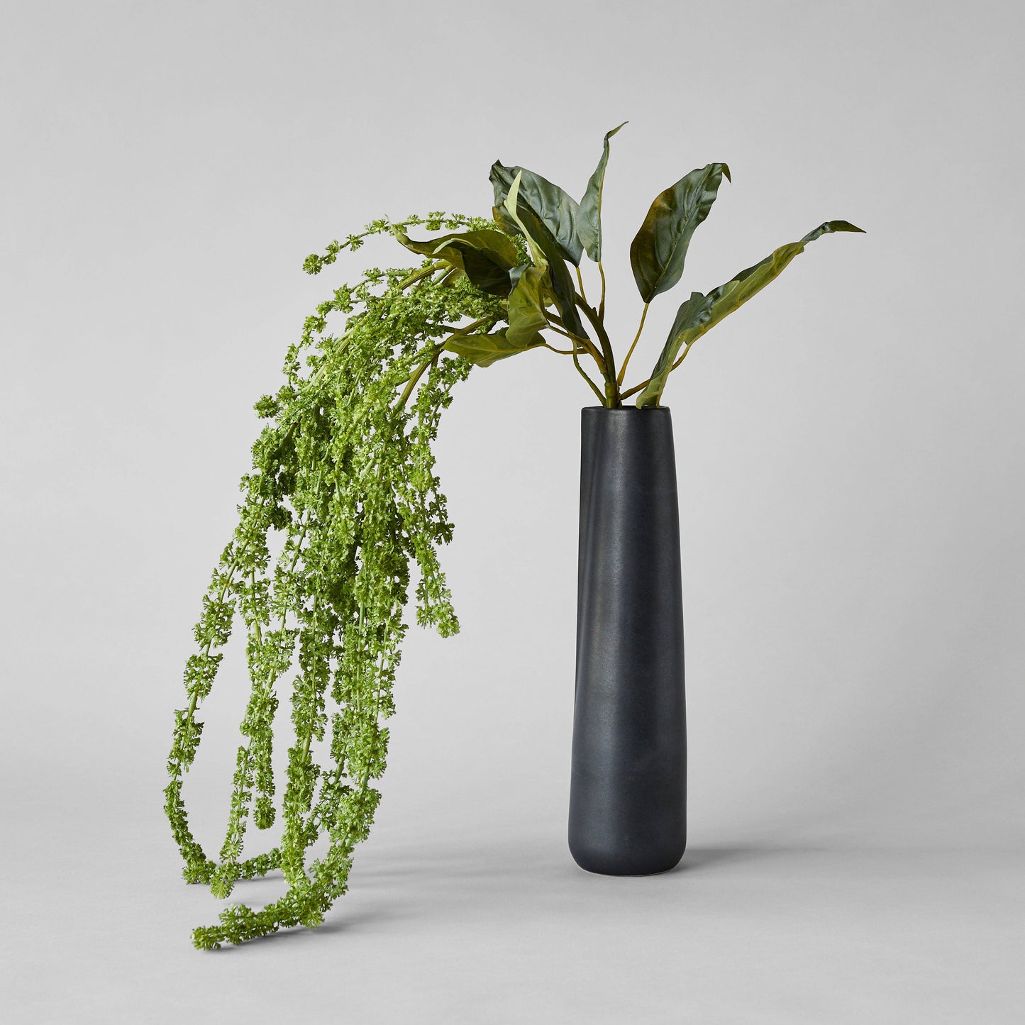 Novah Pitcher - Black