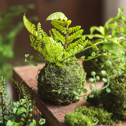 Mossy Meadow Plant Ball