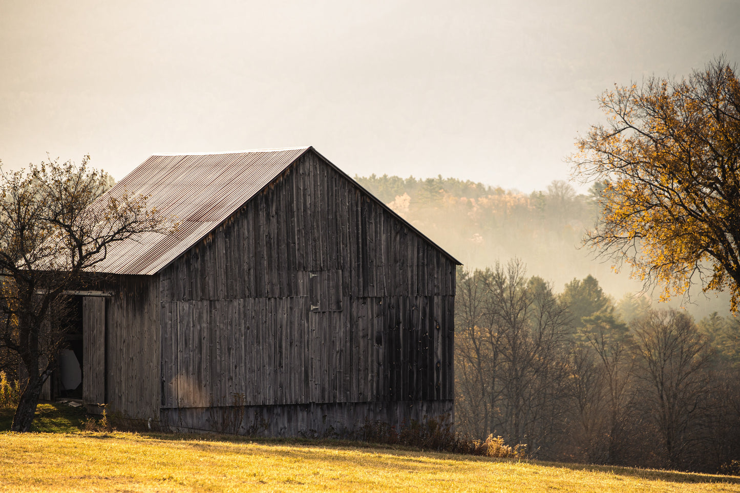 Morning Mist