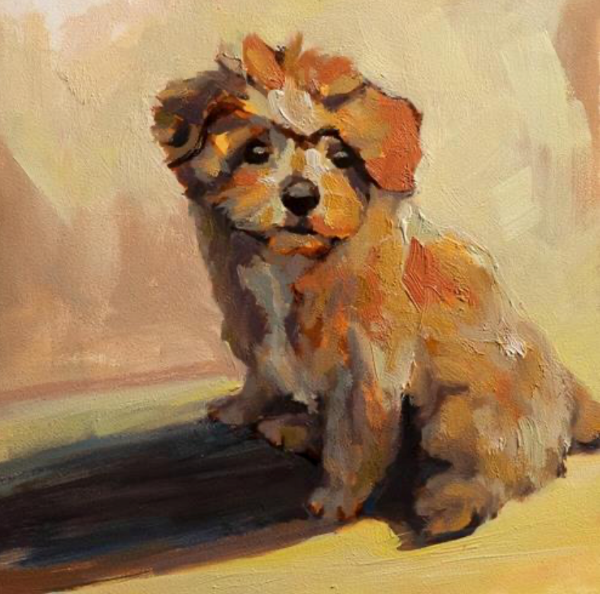 Pet