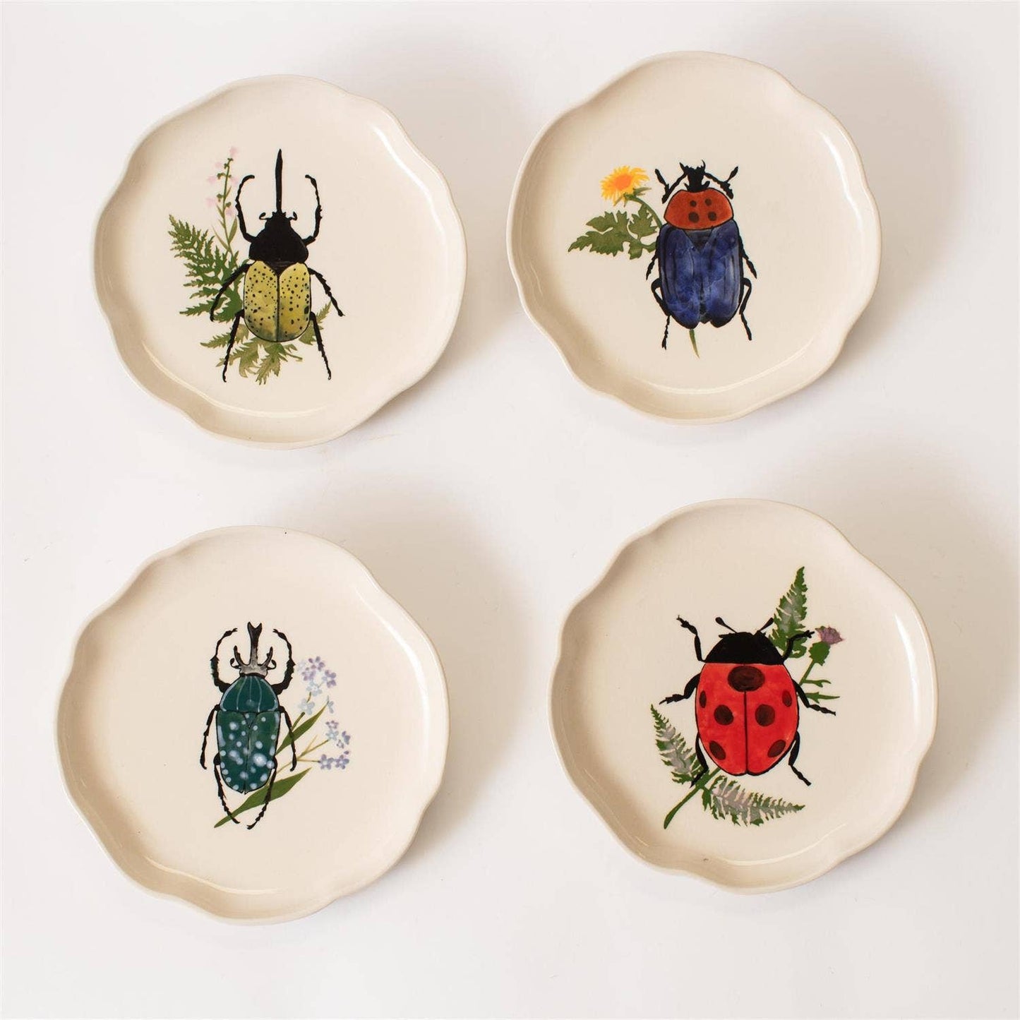 Botanical Beetle Plate
