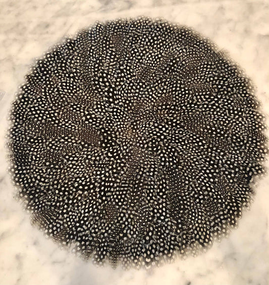 Placemat - Guinea Feather