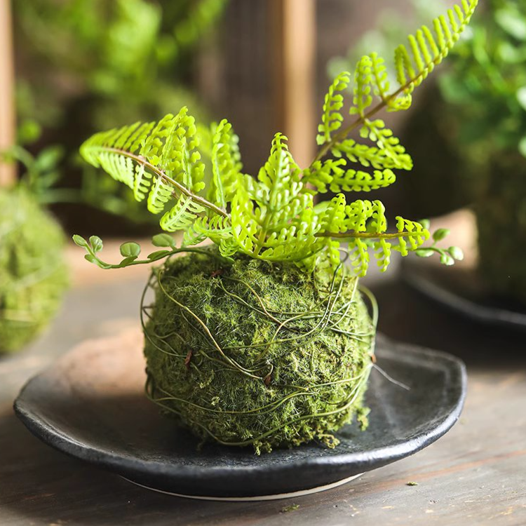 Mossy Meadow Plant Ball