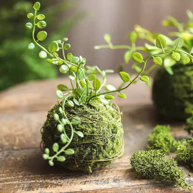 Mossy Meadow Plant Ball