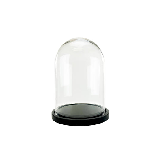 Glass Dome Cloche with Black Wood Base