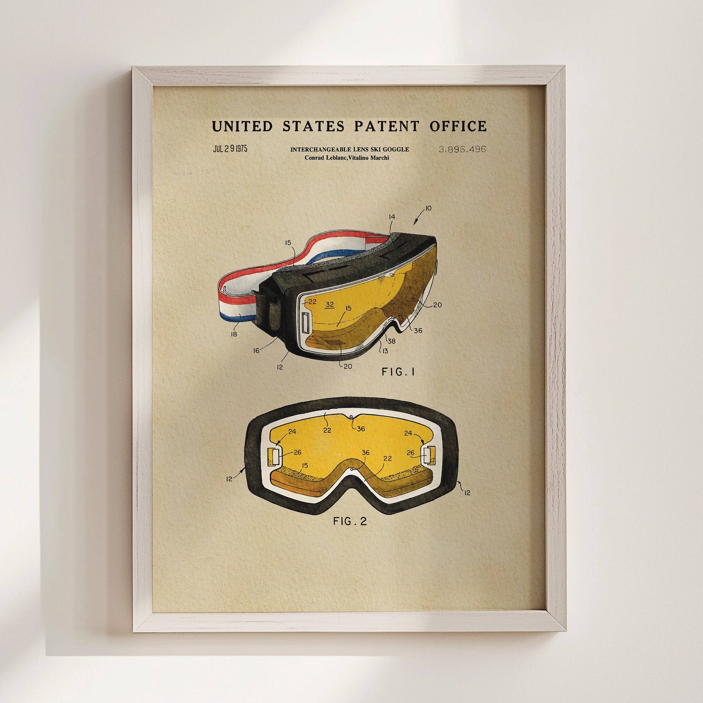 Ski Goggles