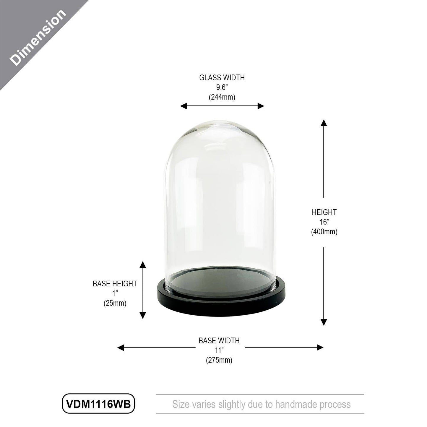 Glass Dome Cloche with Black Wood Base