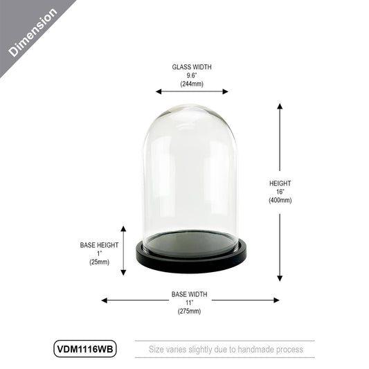 Glass Dome Cloche with Black Wood Base