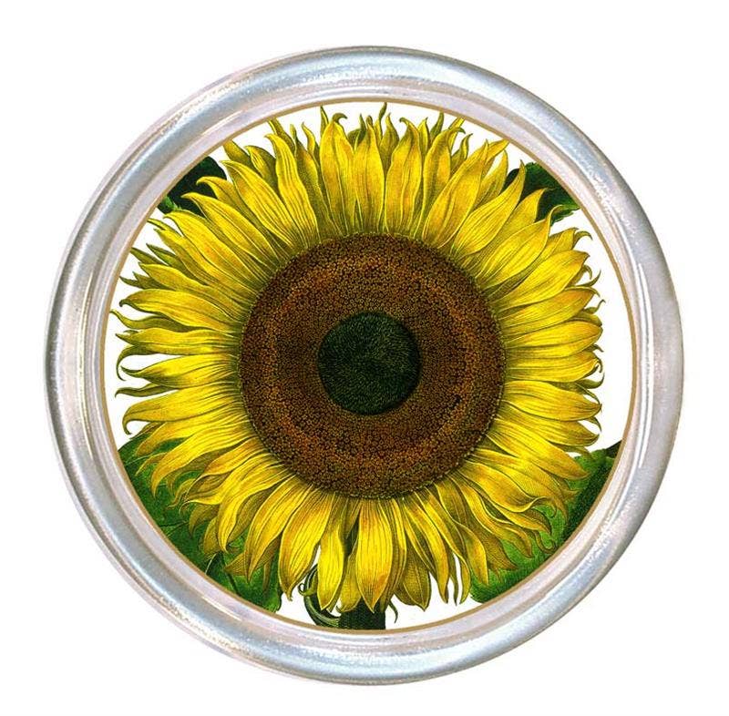 Glass Coasters