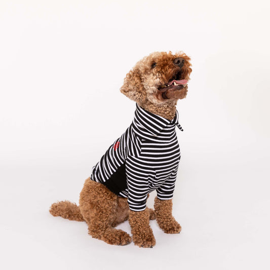 Dog Sweater - Striped Black & White