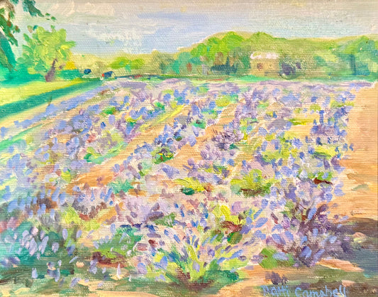 View from Van Gogh's Bedroom