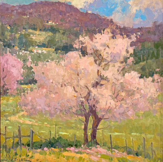 Spring Blossoms