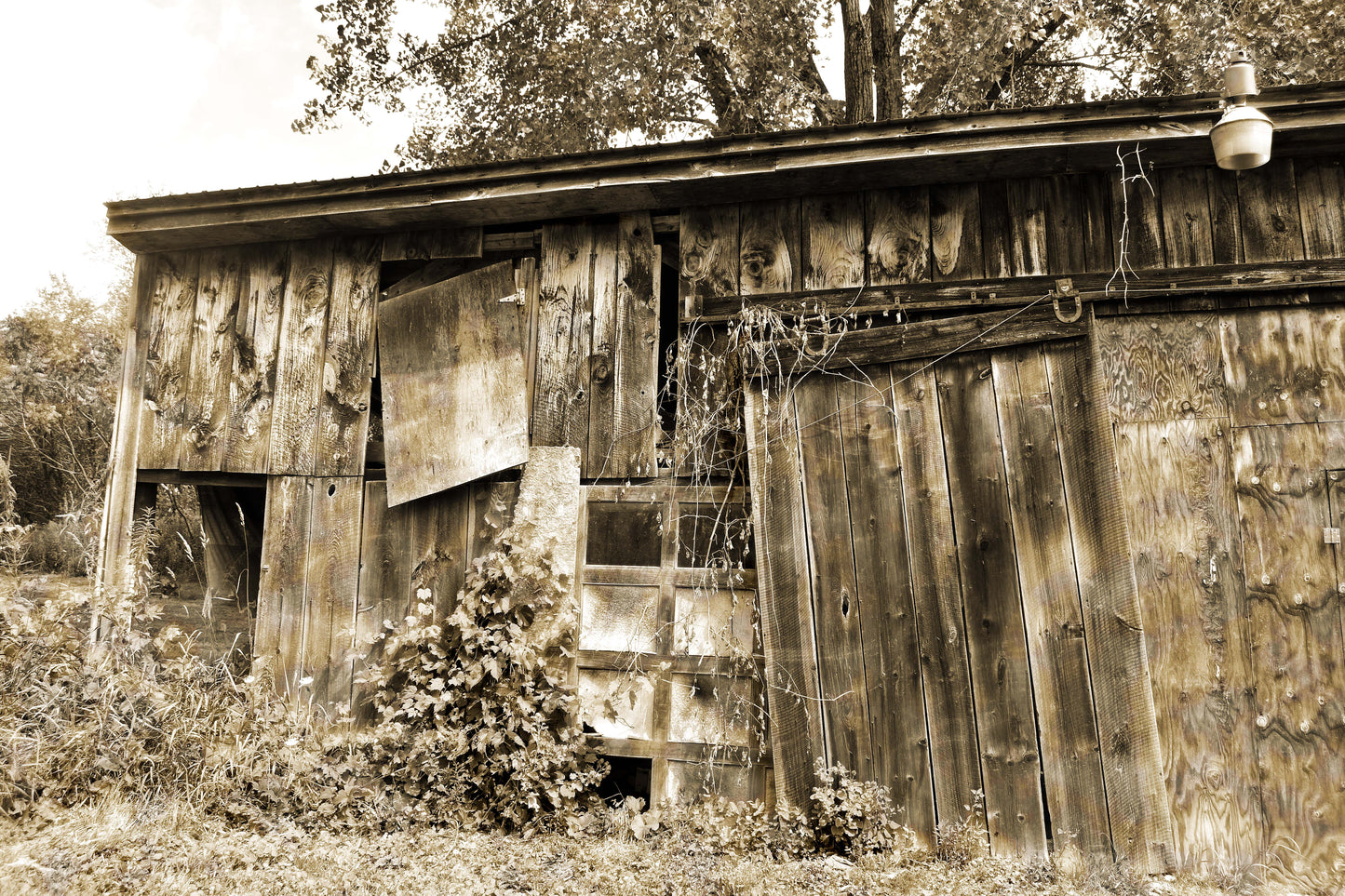 Timeworn
