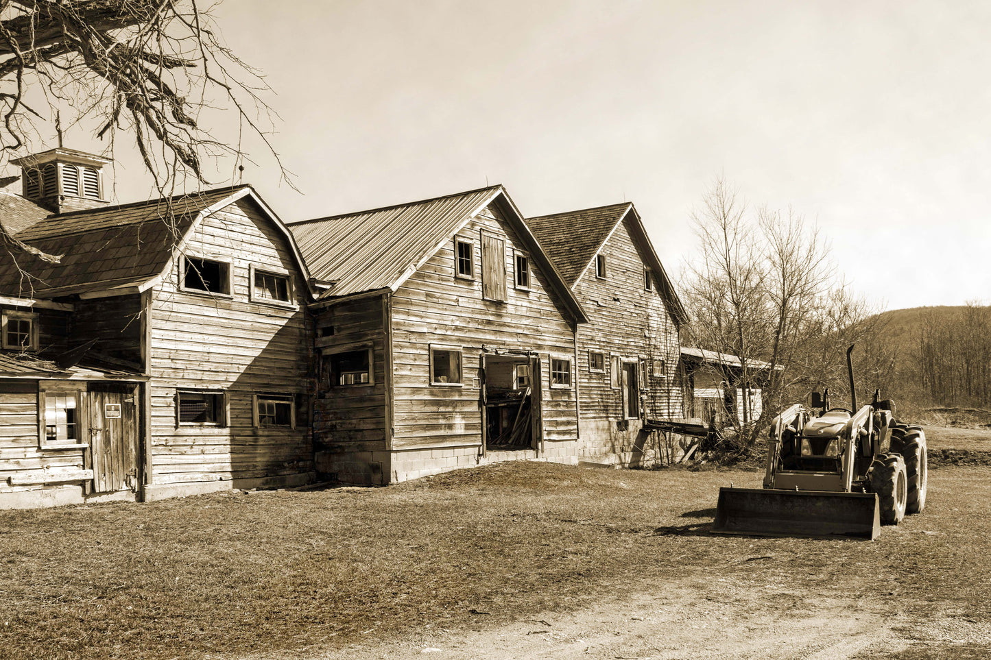 Weathered Homestead